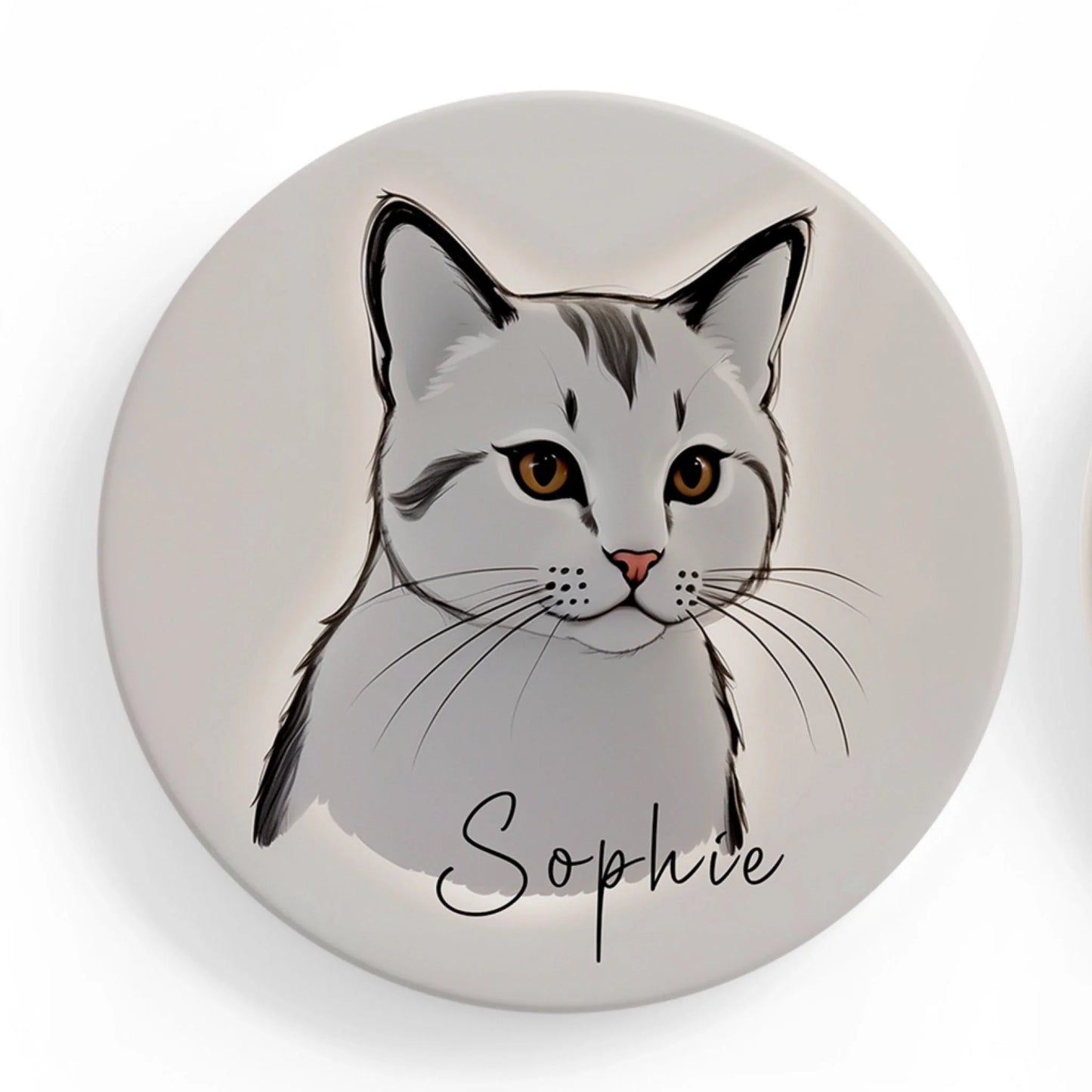Grey Cat 2