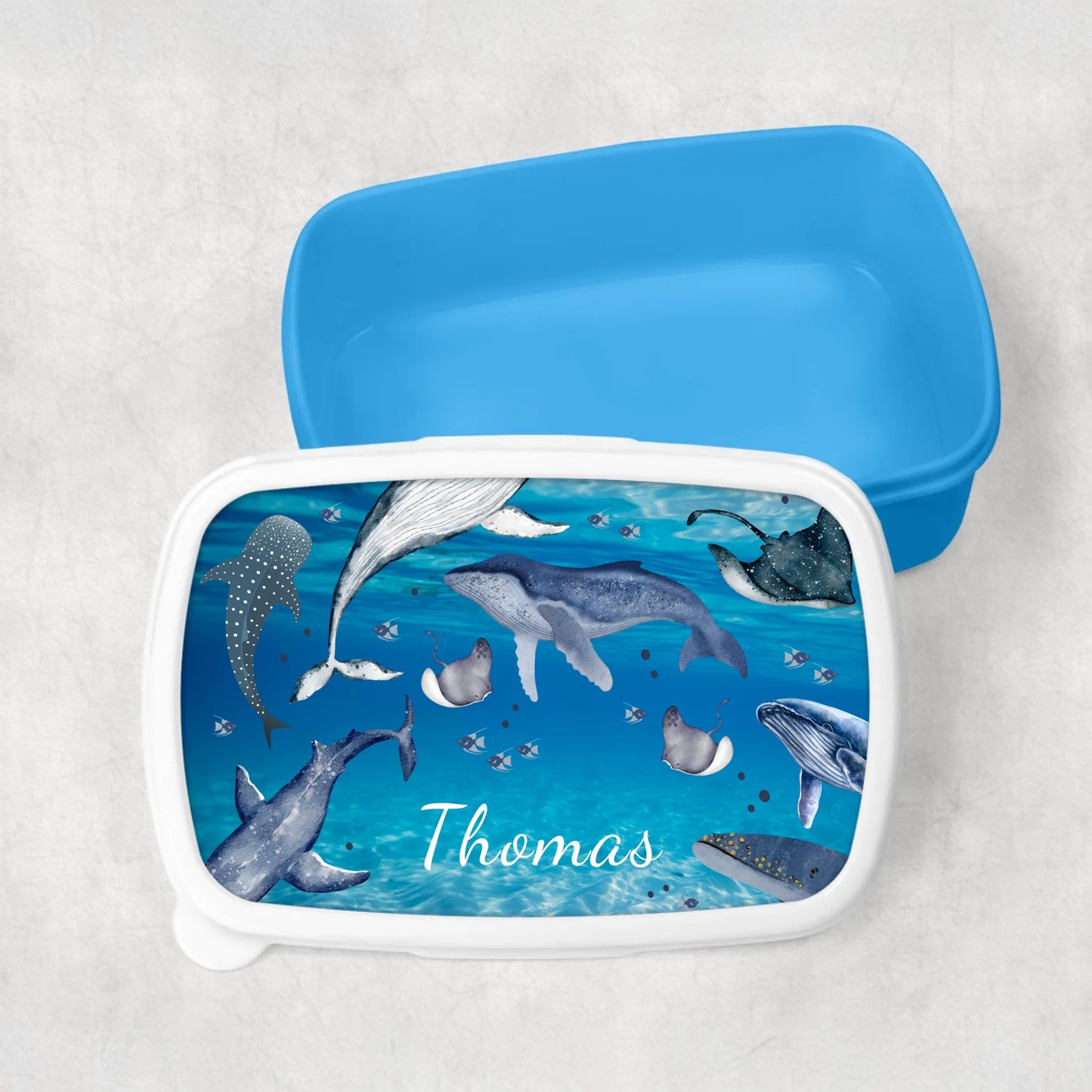 Blue lunchbox for kids with sea creatures