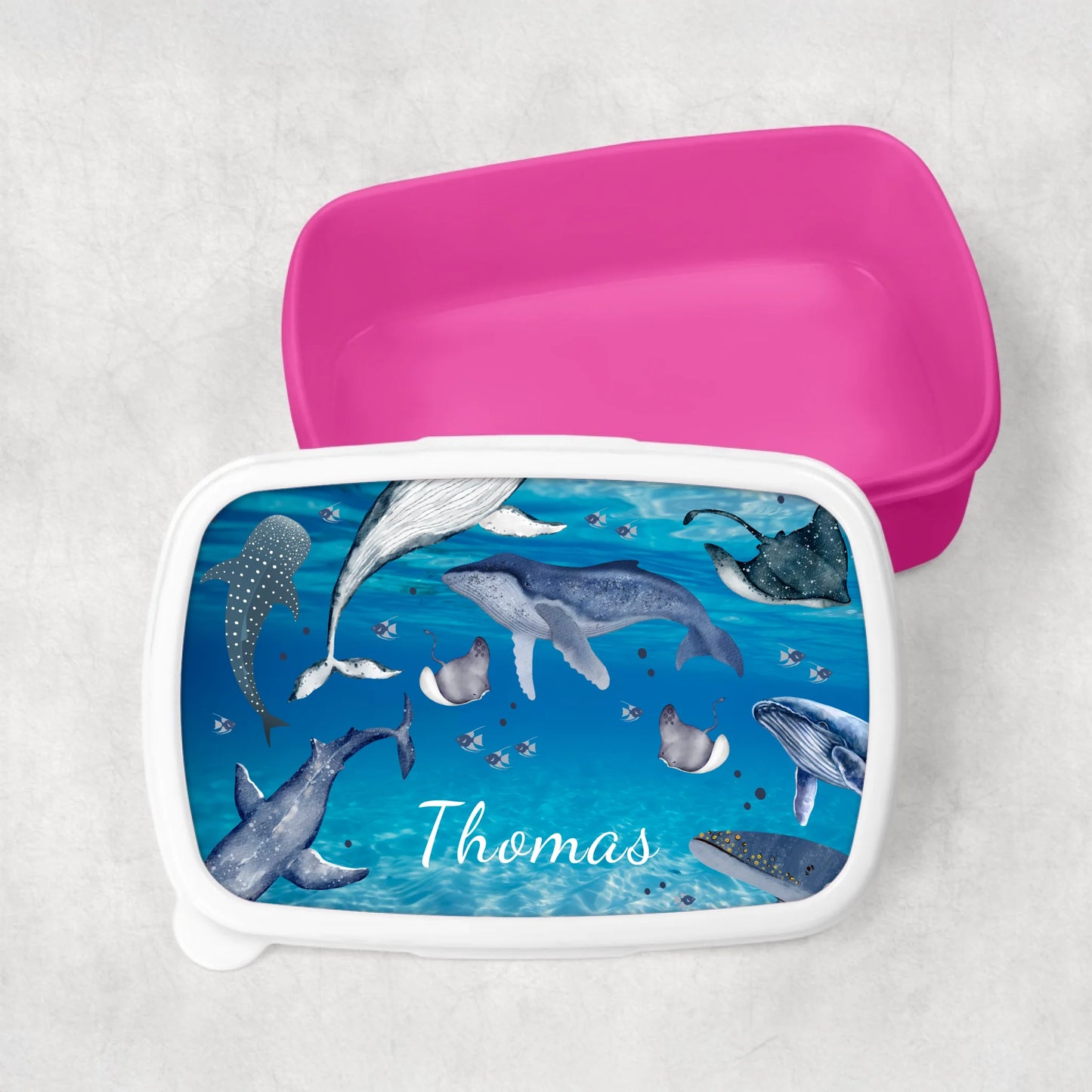 Lunchbox with shark and whale design