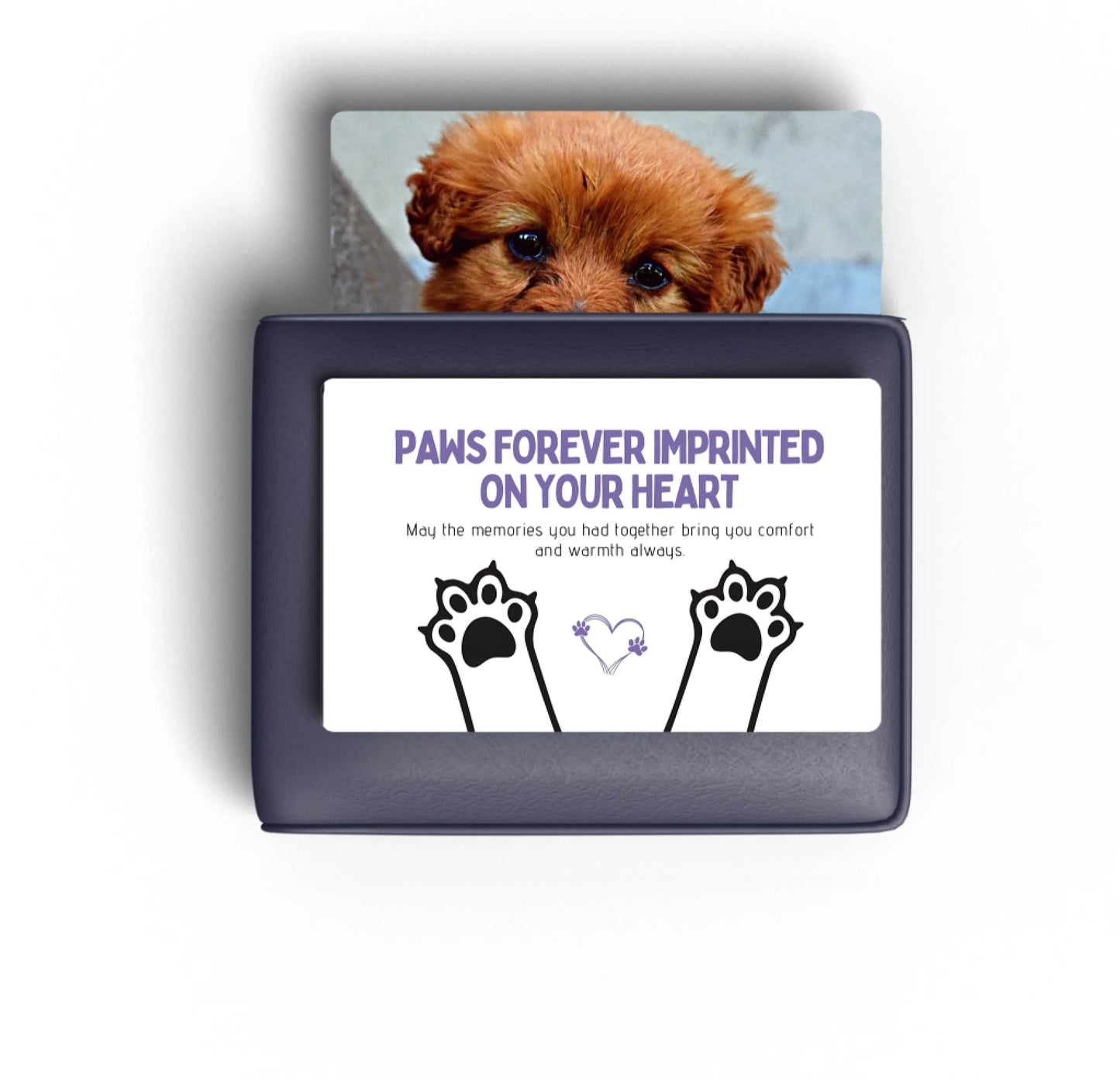 Unique cat lover gift for memorial and remembrance