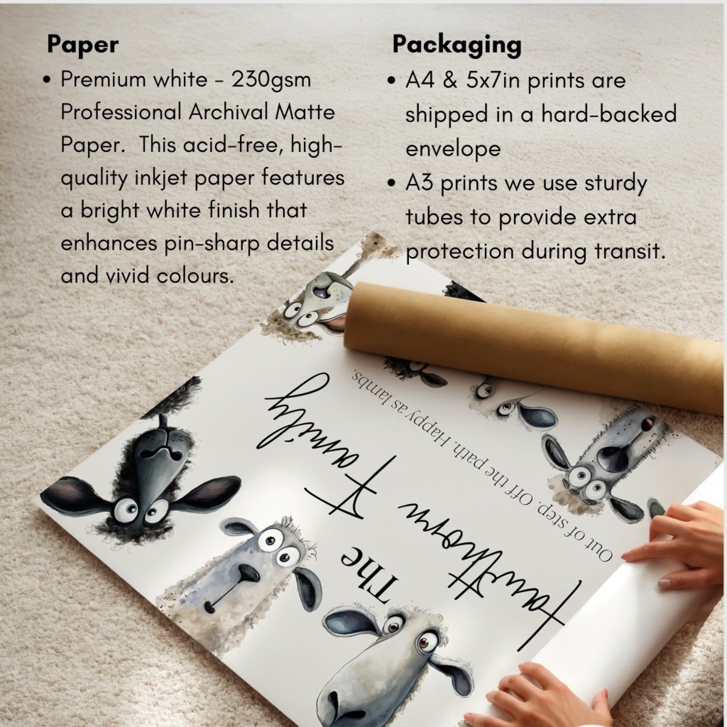 Print Info Fun Family Pig animal print with family name