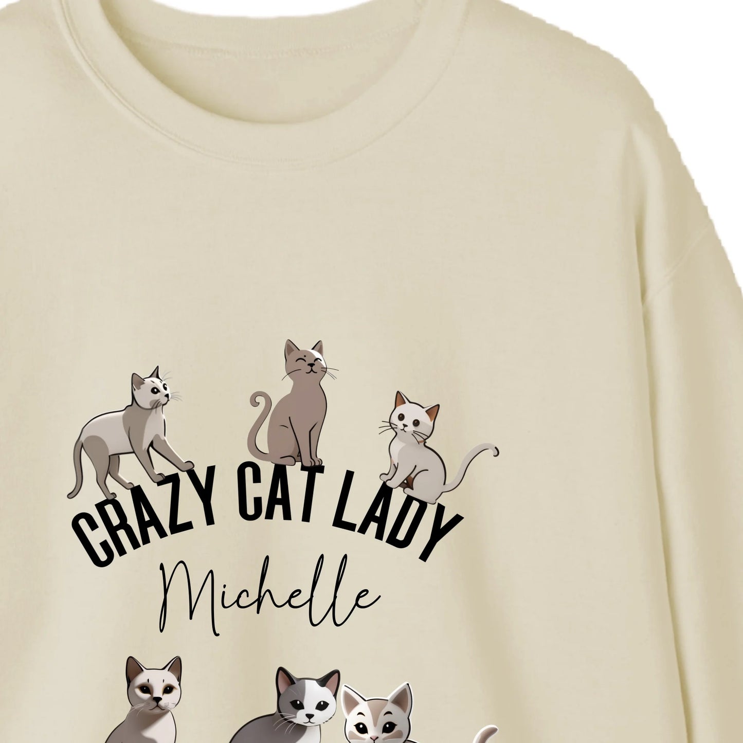 Cosy Crazy Cat Lady sweatshirt