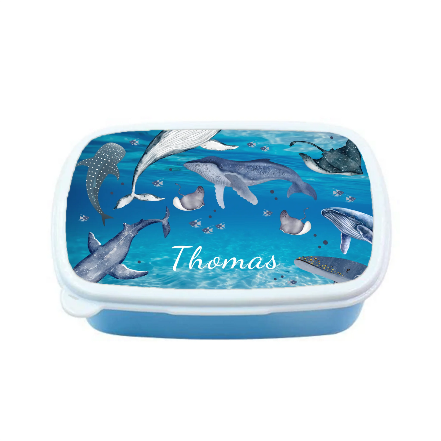 Whales and sharks ocean design lunchbox