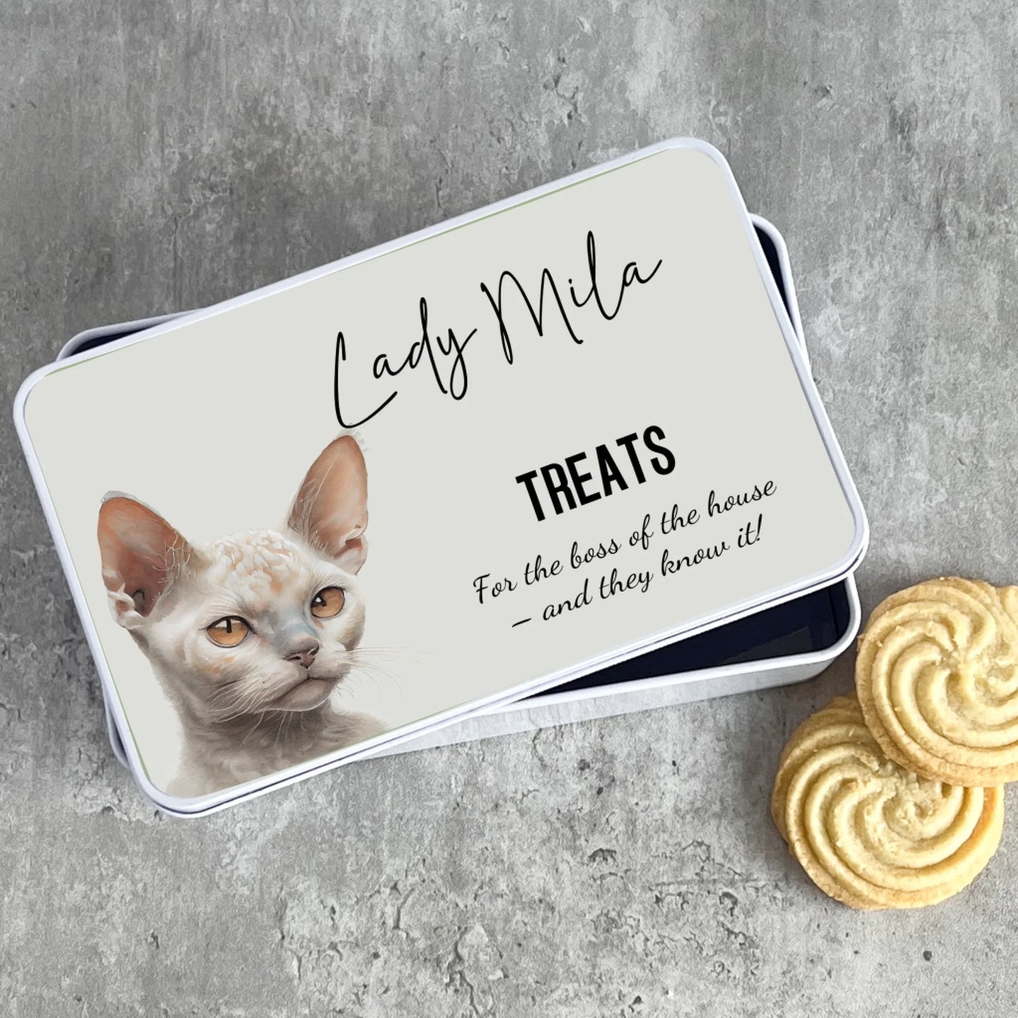 Quirky personalised cat gift treat container