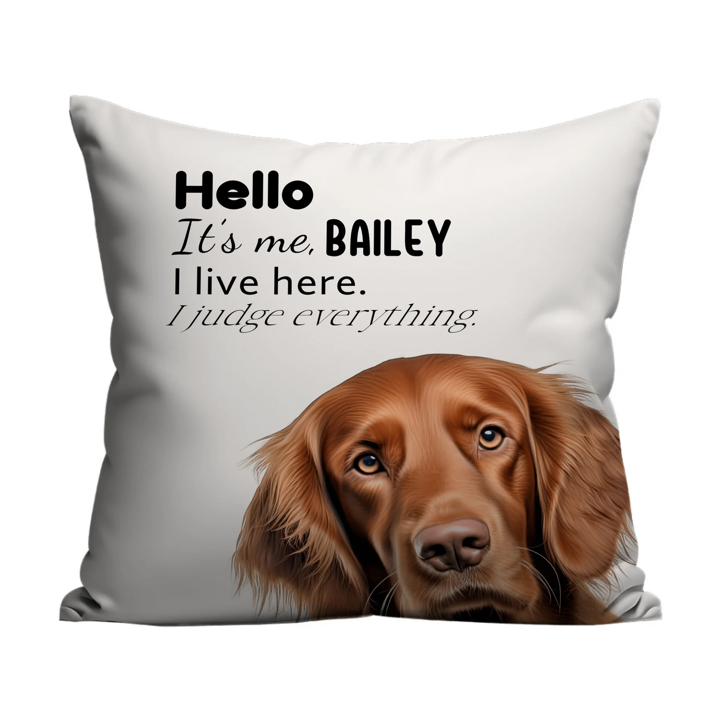 Quirky pet cushion for sofa or bed