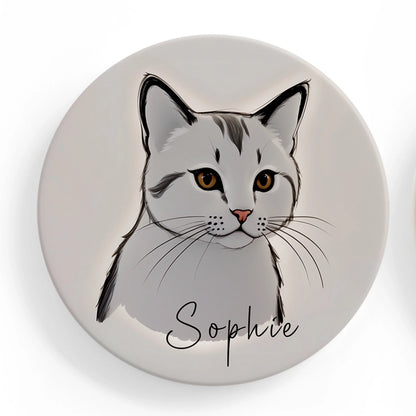 Grey Cat 2