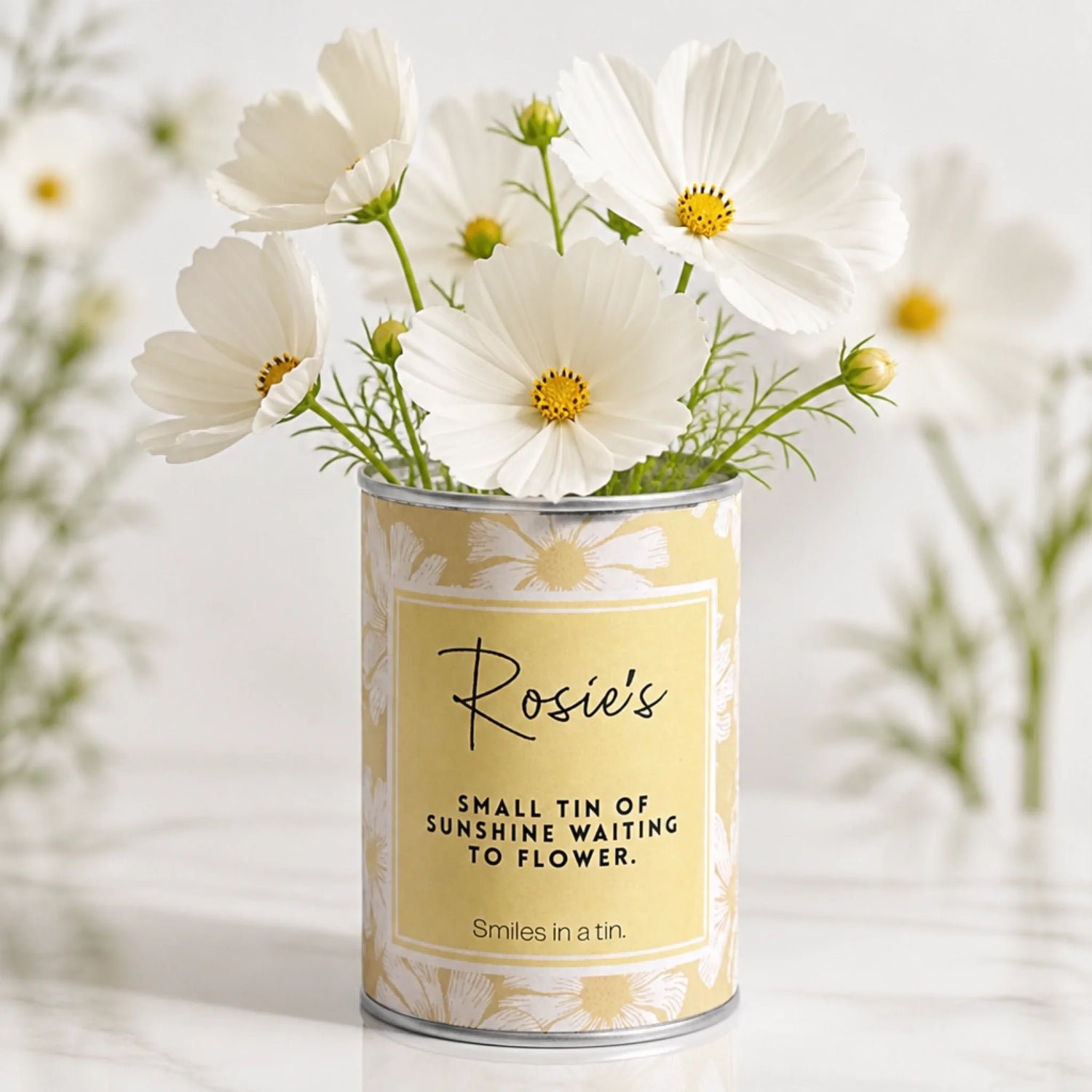 Unique personalised gift tin with grow your own white cosmos