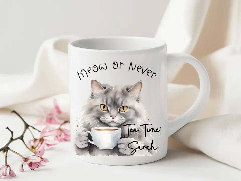 Cat lover birthday gift mug