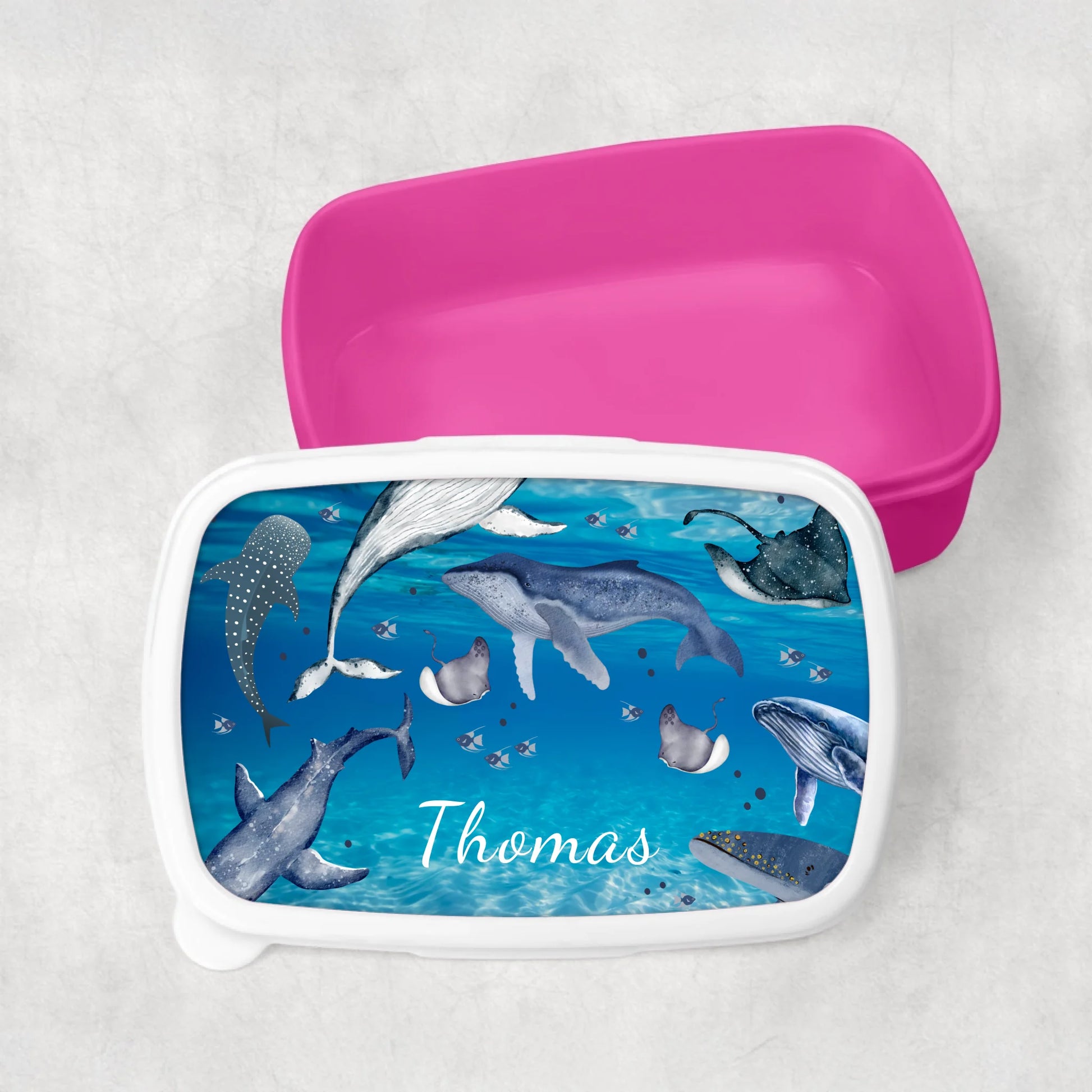 Lunchbox with shark and whale design