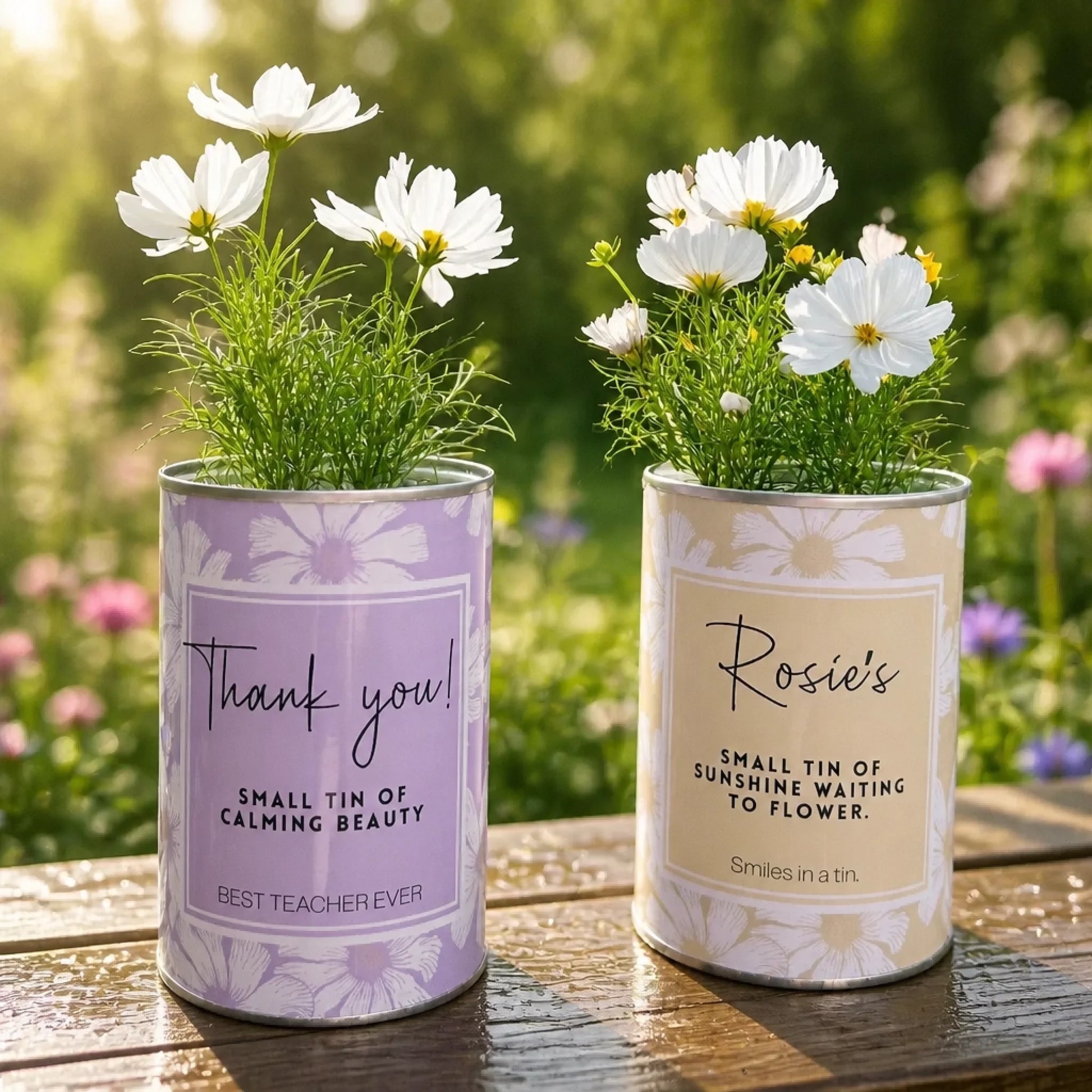 Grow your own flower gift tin personalised with name and message