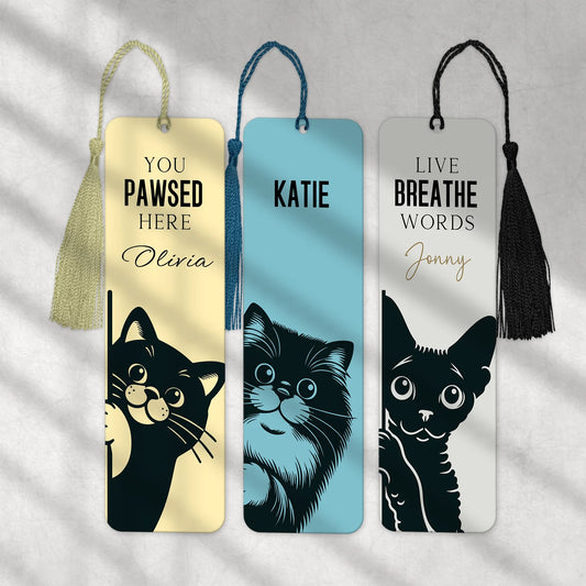 fun cat gift for birthdays and Christmas