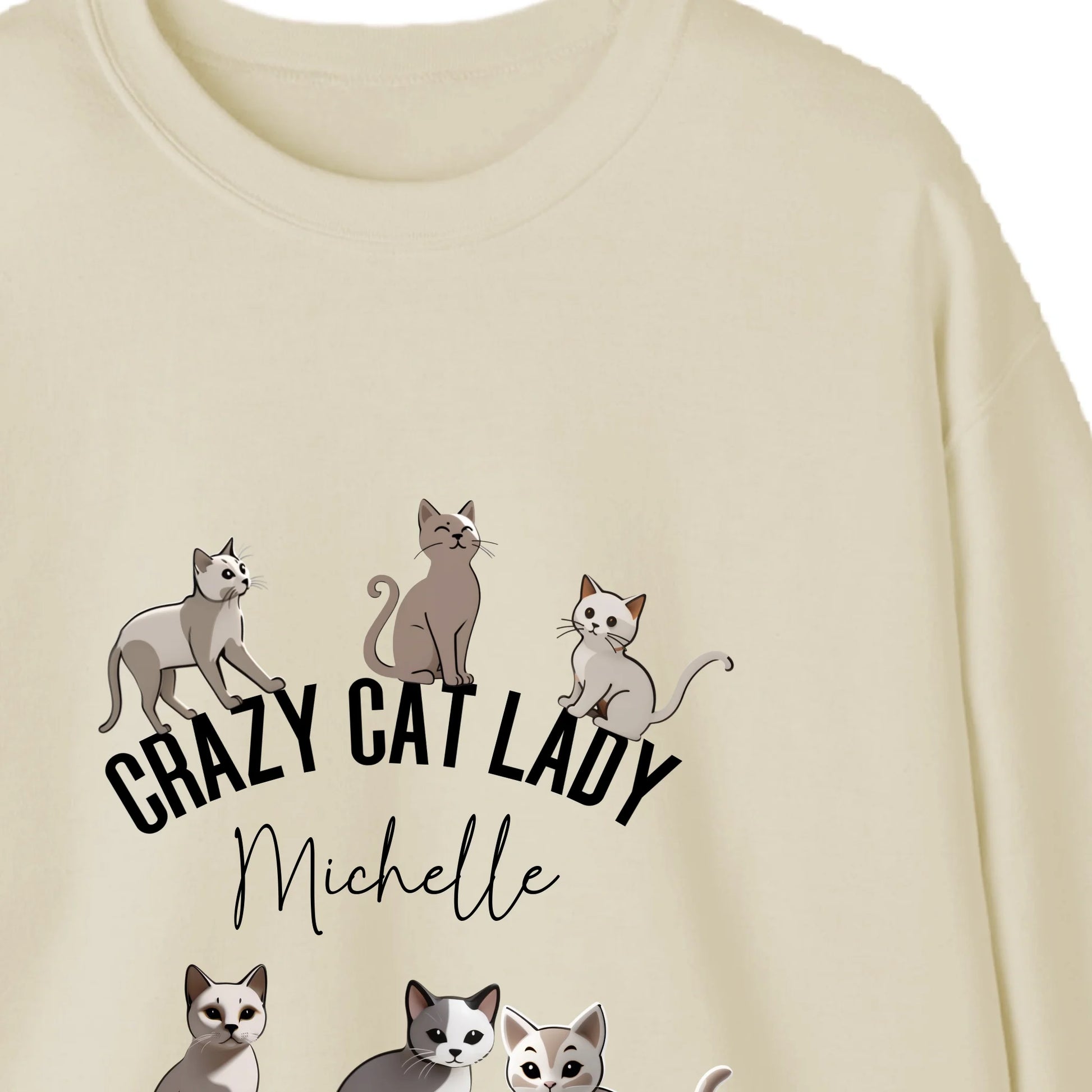 Cosy Crazy Cat Lady sweatshirt