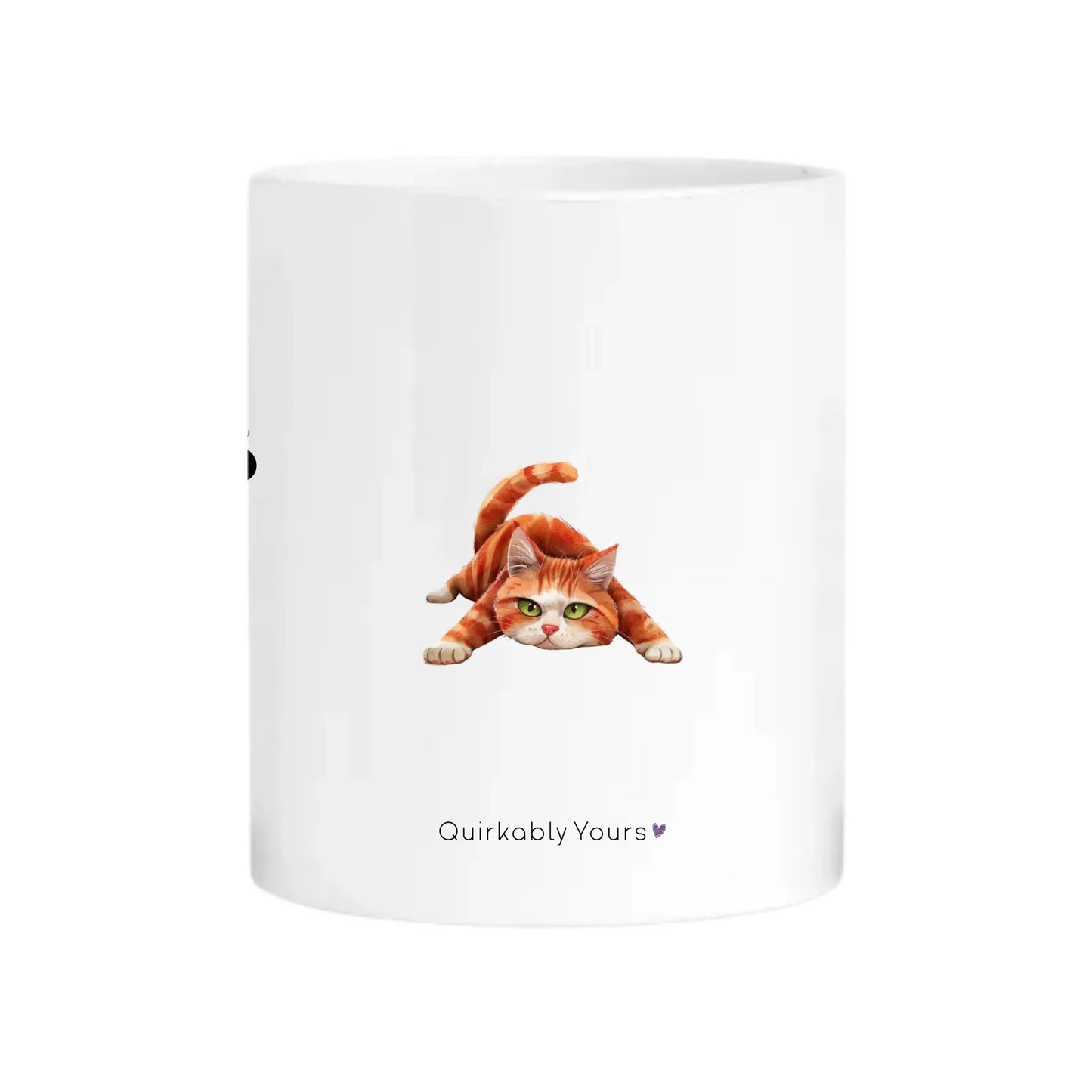 Sarcastic cat mug gift for pet lovers and cat owners