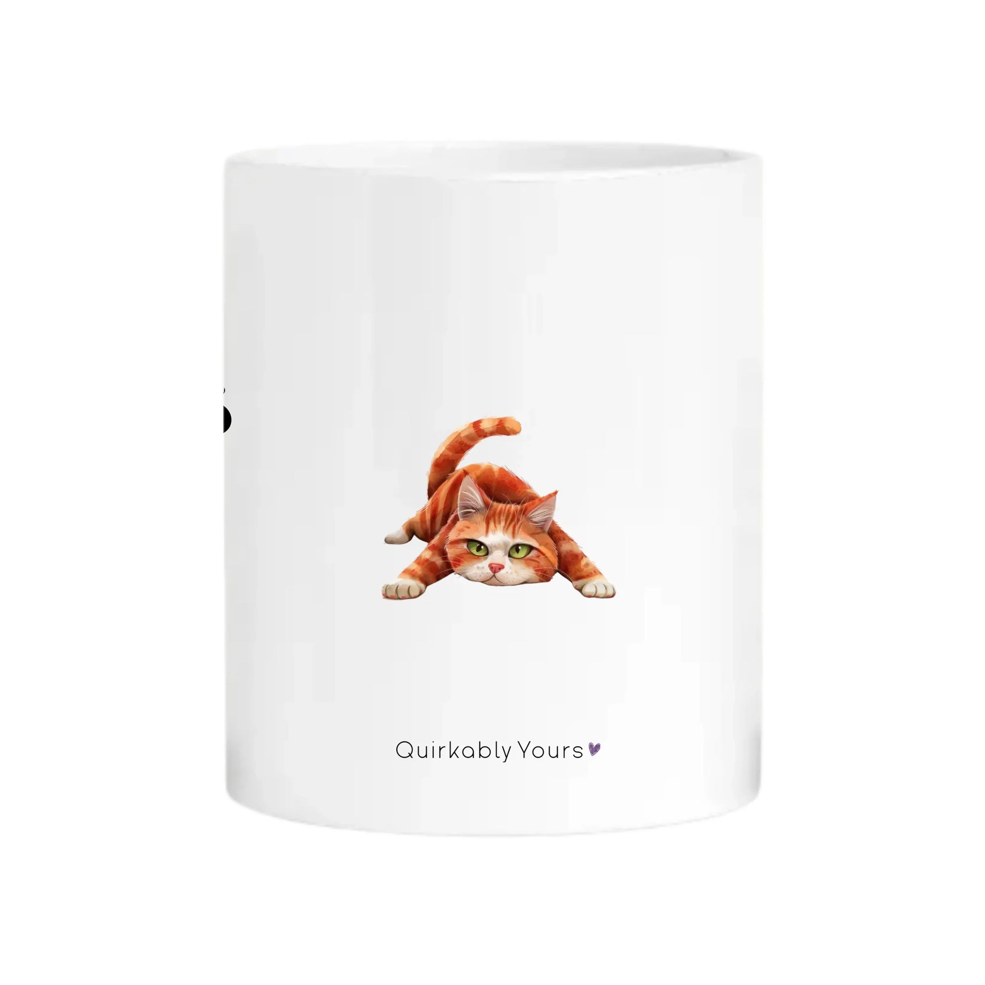 Sarcastic cat mug gift for pet lovers and cat owners