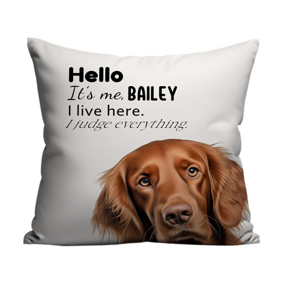 Quirky pet cushion for sofa or bed